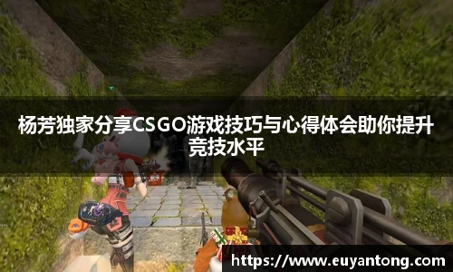 杨芳独家分享CSGO游戏技巧与心得体会助你提升竞技水平